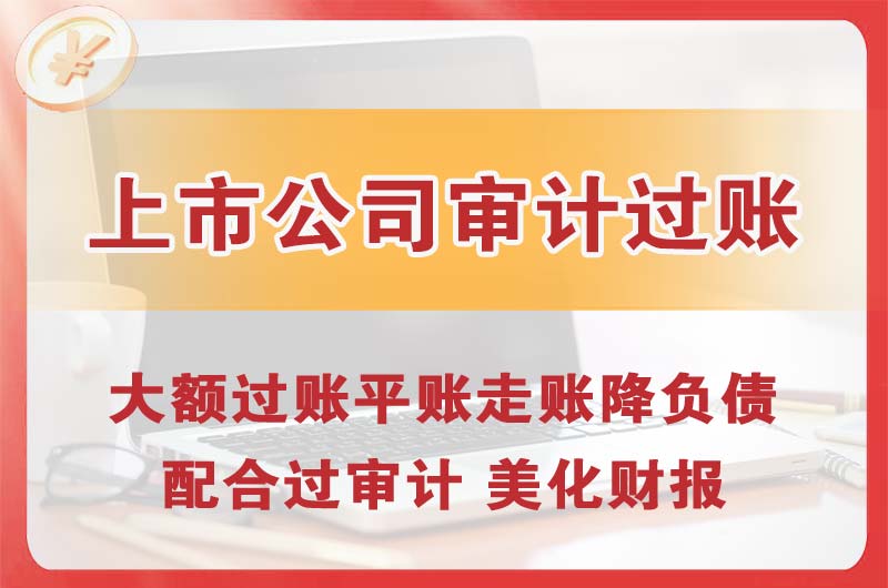 辛集上市公司审计过账
